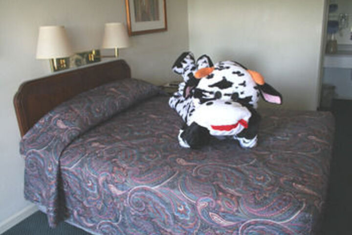 Hotel Suite Photo