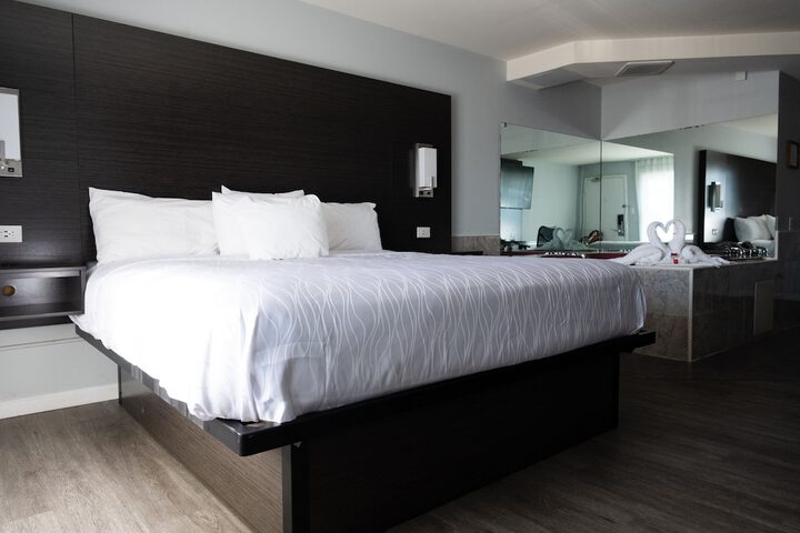 1 King Bed Pet Friendly Accessible (74 of 90)