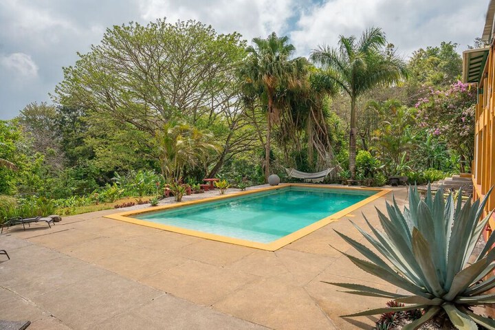 Pool 81 of 172