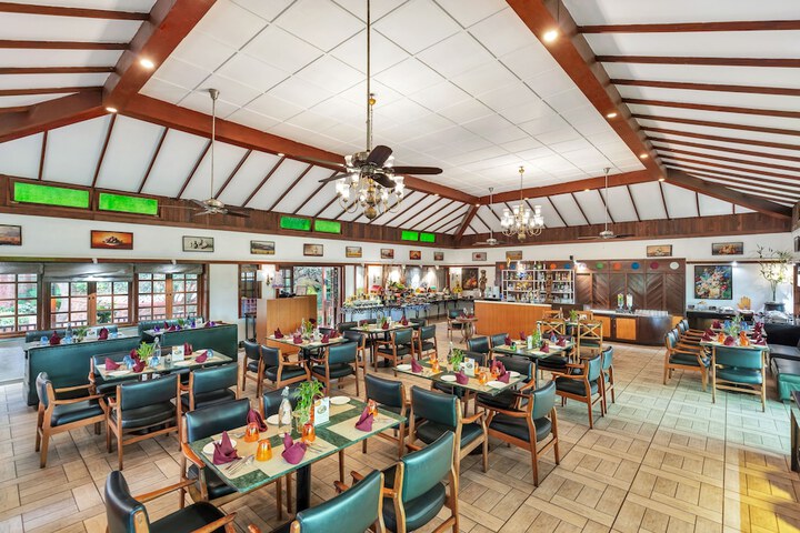 Dining Photos