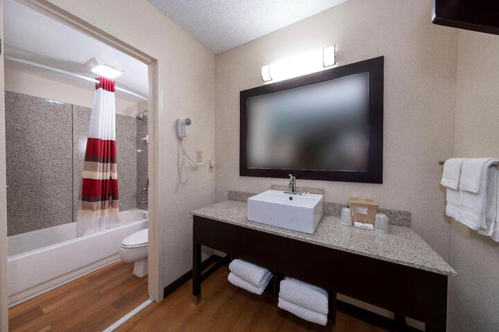 1 King Bed Suite (5 of 6)
