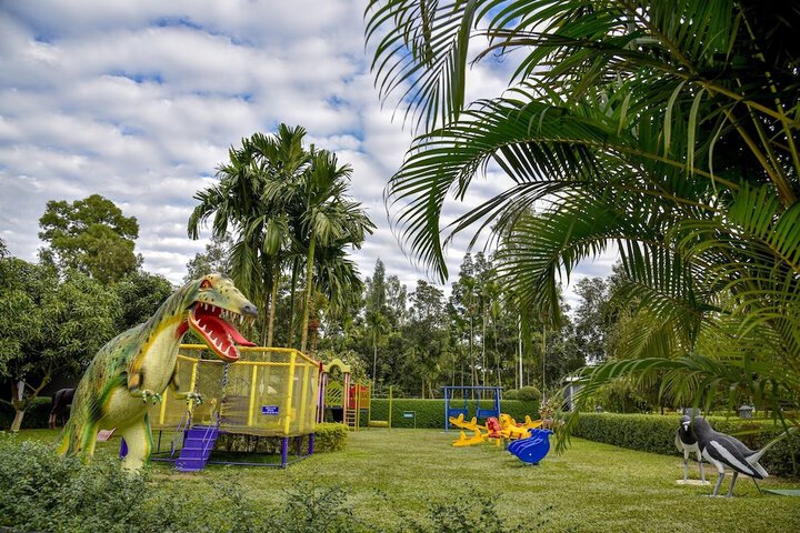 Childrens Activities 26 of 44