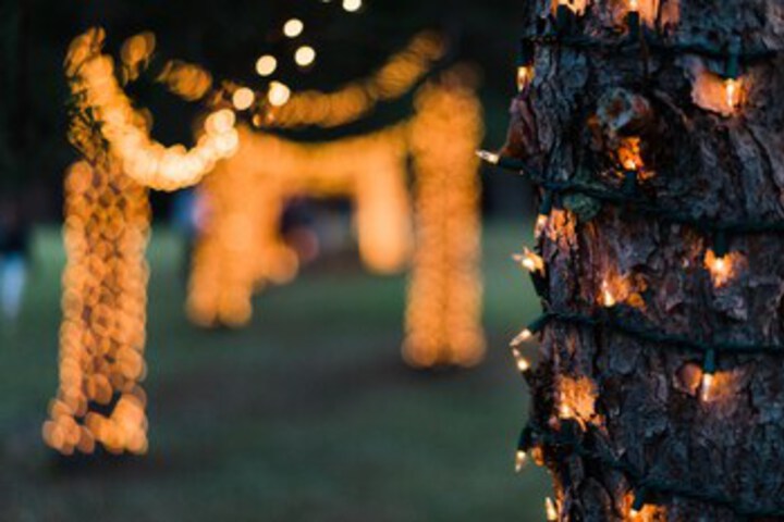 Wedding/Banquet 58 of 154