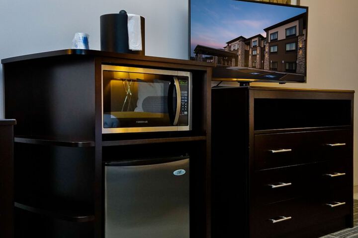 Mini-refrigerator