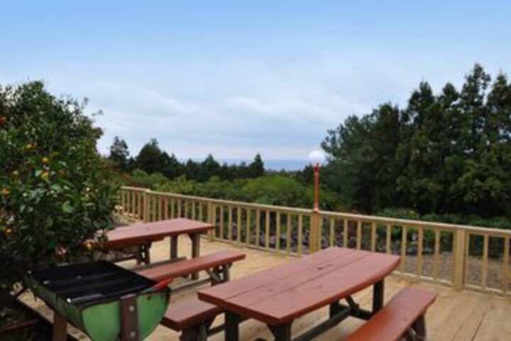 BBQ or Picnic Area