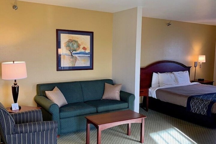 Standard King Bed Accessible (3 of 9)