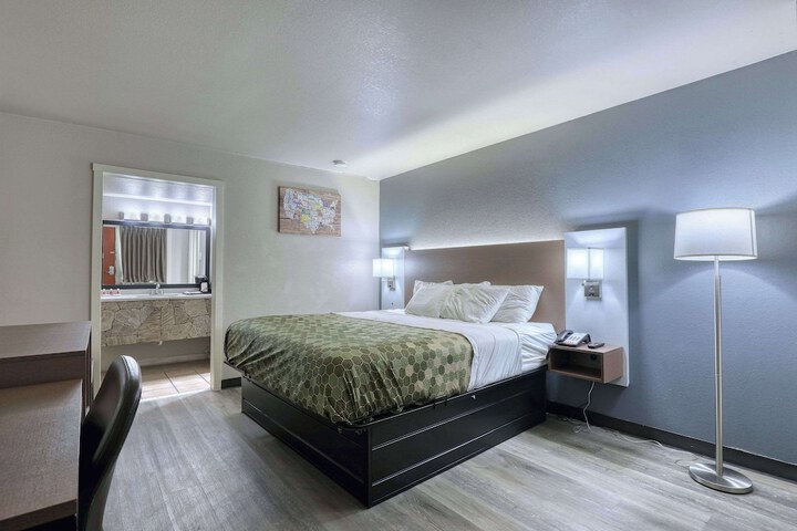 1 King Bed (1 of 14)
