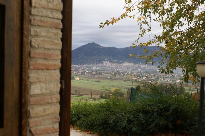 View from room