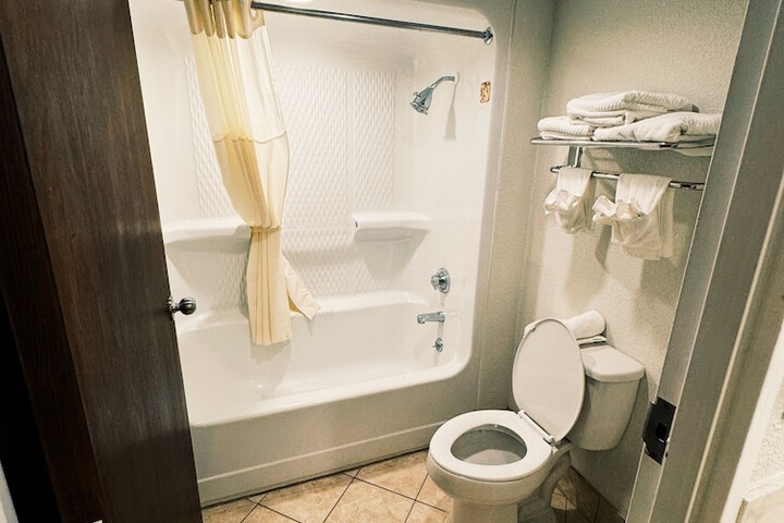 1 King Bed Accessible (4 of 6)