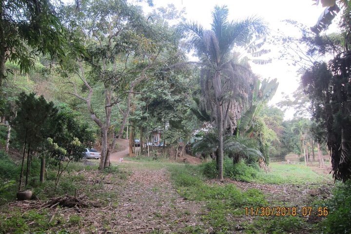 Property Grounds 25 of 34