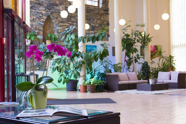Guest Lobby
