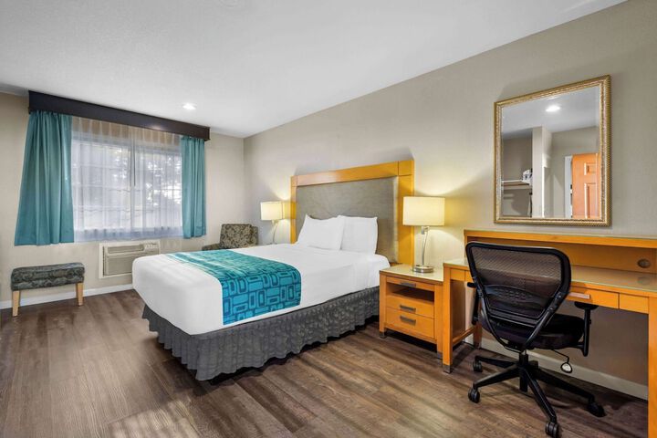 1 Queen Bed (17 of 23)