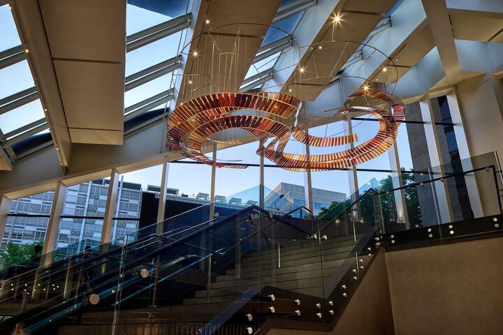 Entrance & Lobby