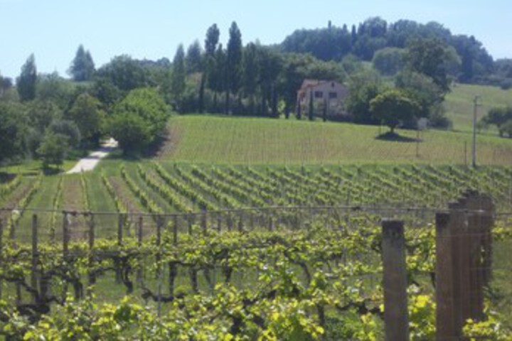 Spa and Wellness Pictures