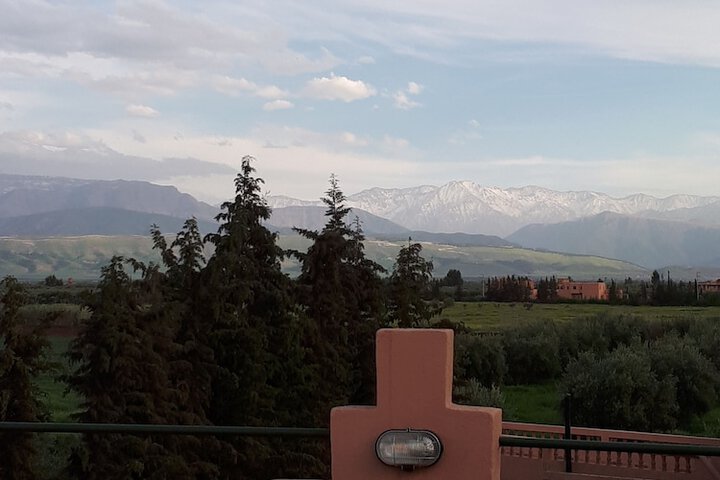 Hotel View 11 of 37