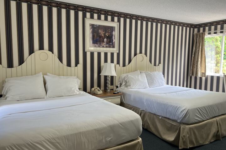 2 Queen Beds (1 of 4)