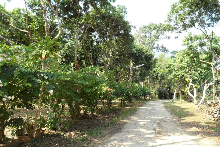 Property Grounds 19 of 54