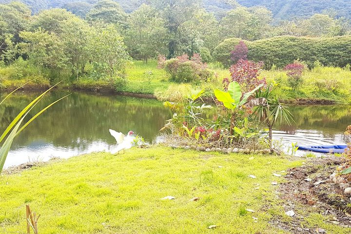 Property Grounds 24 of 28