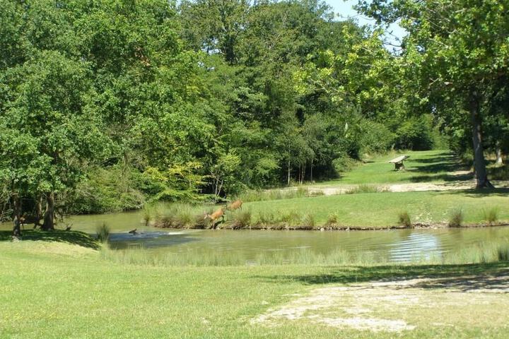 Golf 15 of 24