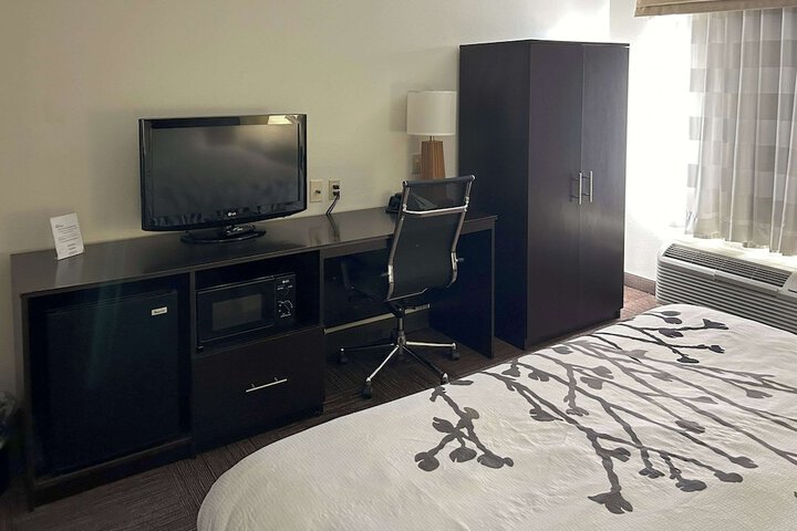 1 King Bed (17 of 21)