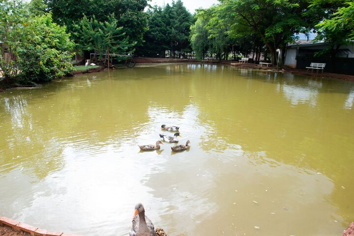Hotel Pool