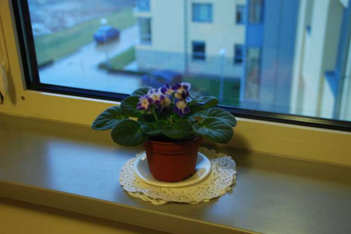 Room 20 of 47