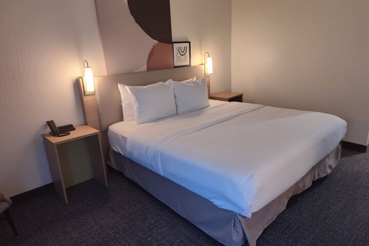 1 King Bed (28 of 31)