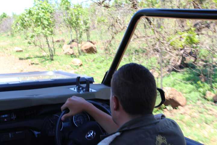 Ecotours