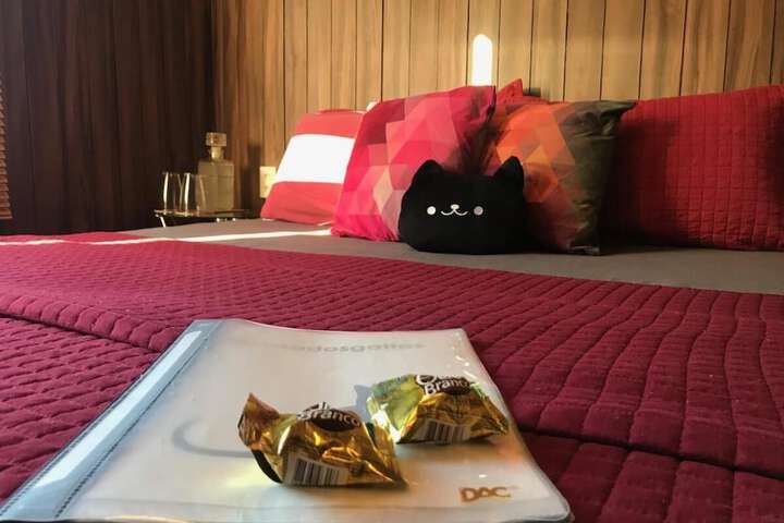 Room 15 of 26