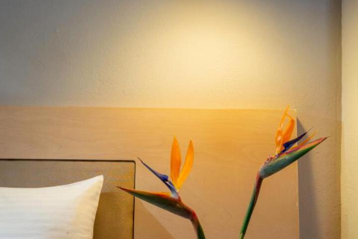 Spa and Wellness Pictures