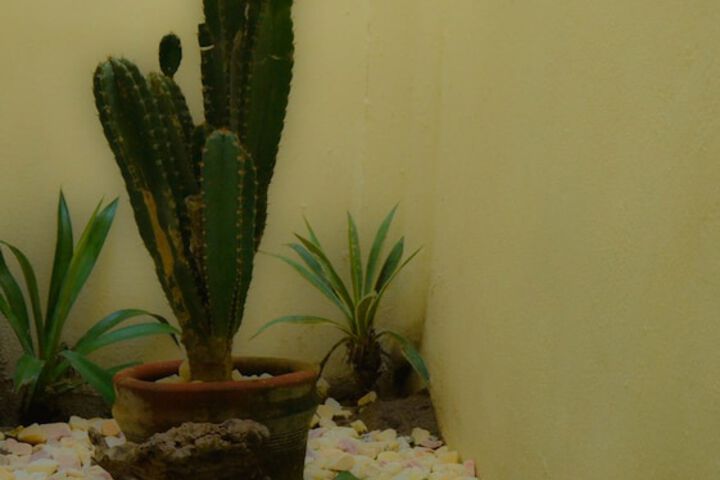 Room 55 of 80