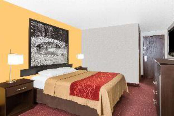 Deluxe 1 Queen Bed (5 of 6)