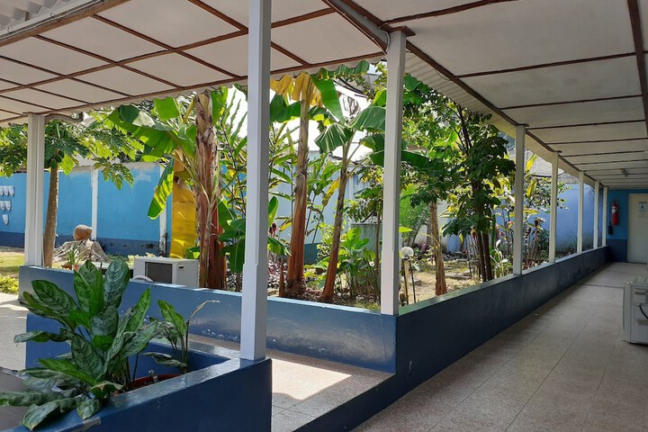 View from room