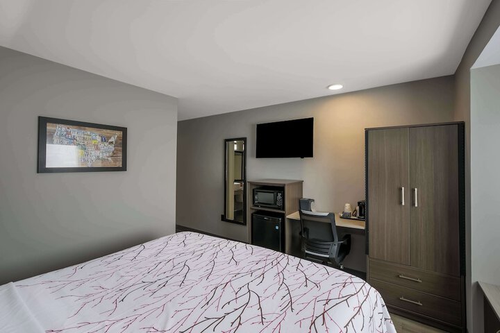 1 King Bed Work Desk Microwave and Refrigerator Full Breakfast (6 of 16)