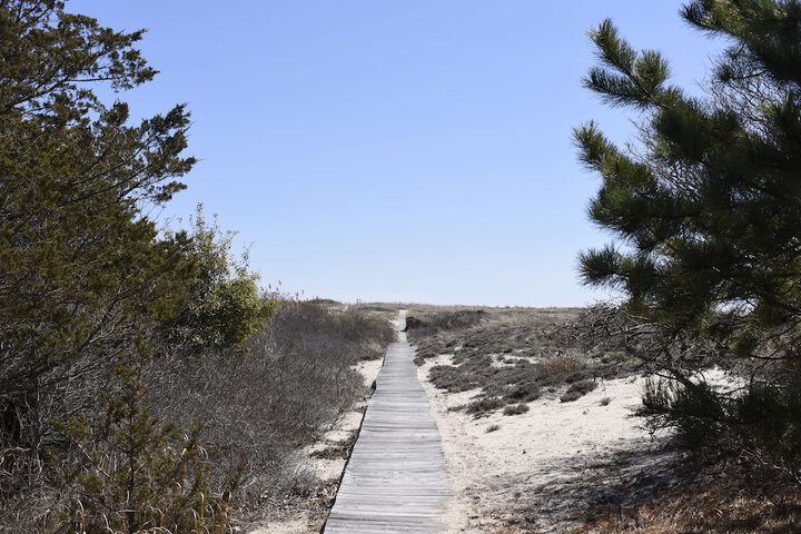 Beach 138 of 152