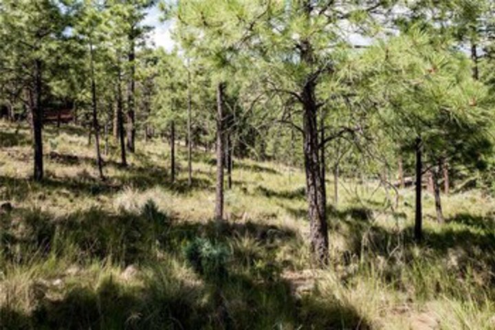 Property Grounds 18 of 24