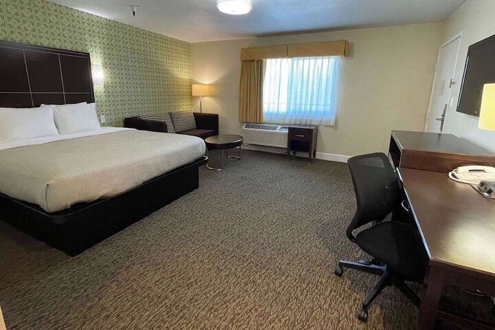 1 King Bed (3 of 14)