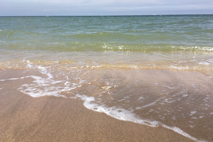 Beach 154 of 177