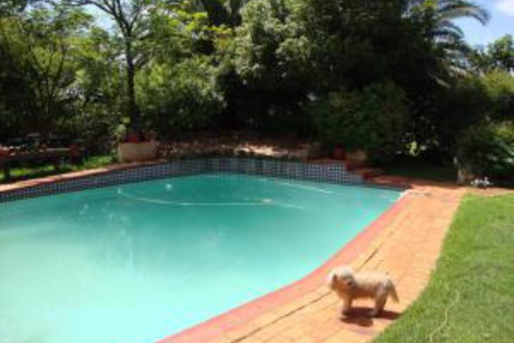 Pool 13 of 59
