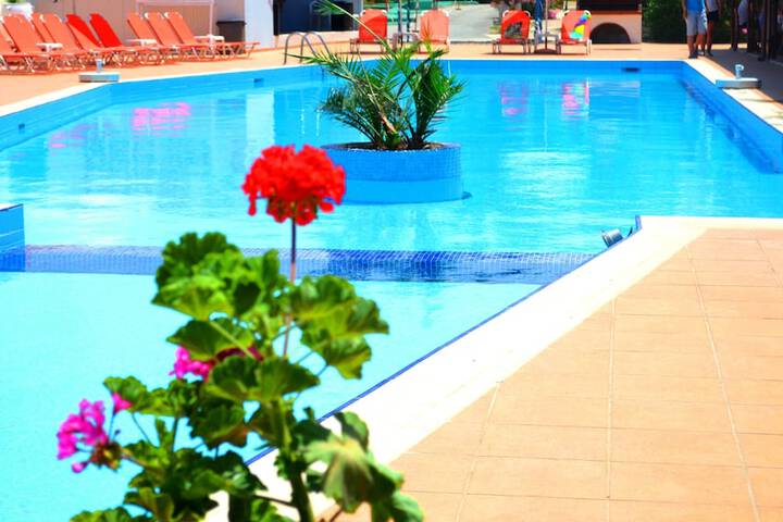 Pool 60 of 161