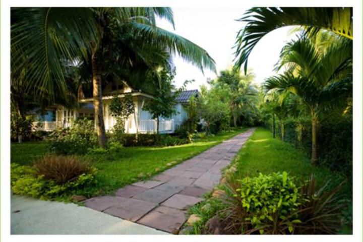 Photo 20