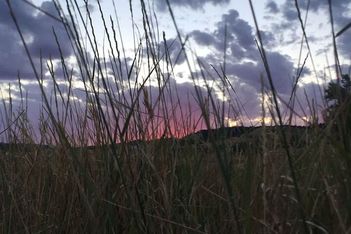 Property Grounds 131 of 172