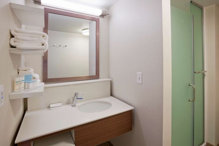 1 King Mobility Accessible Roll in Shower (6 of 11)