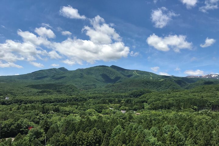 View from room