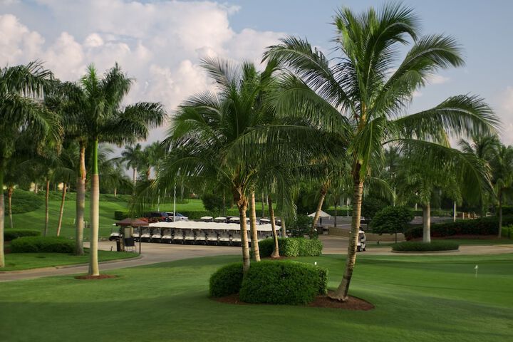 Golf 20 of 45