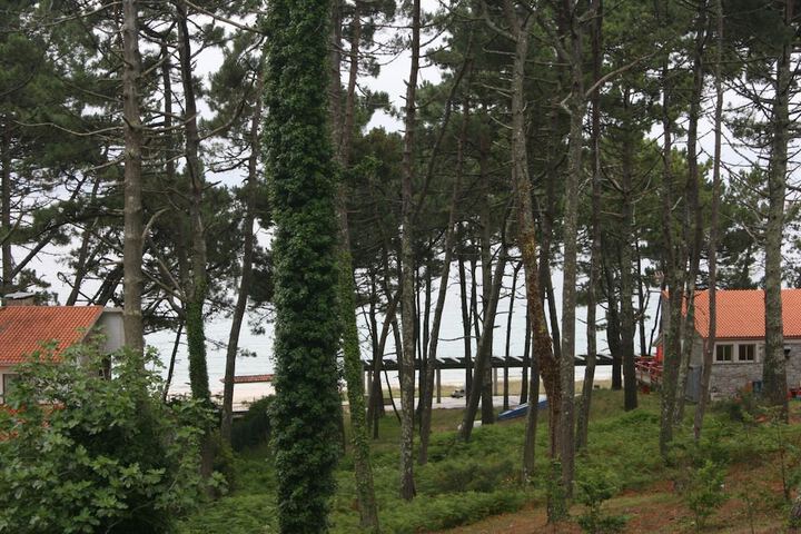 Property Grounds 30 of 45
