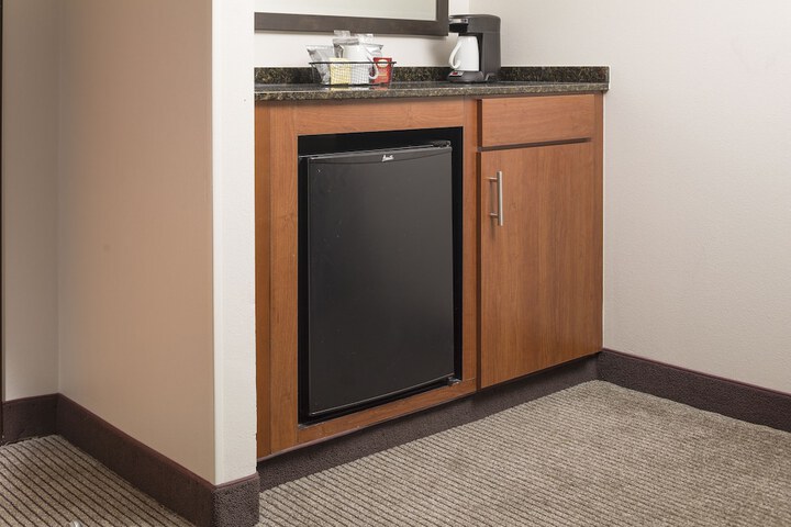 Mini-refrigerator