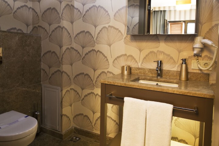 Bathroom Interior Photo