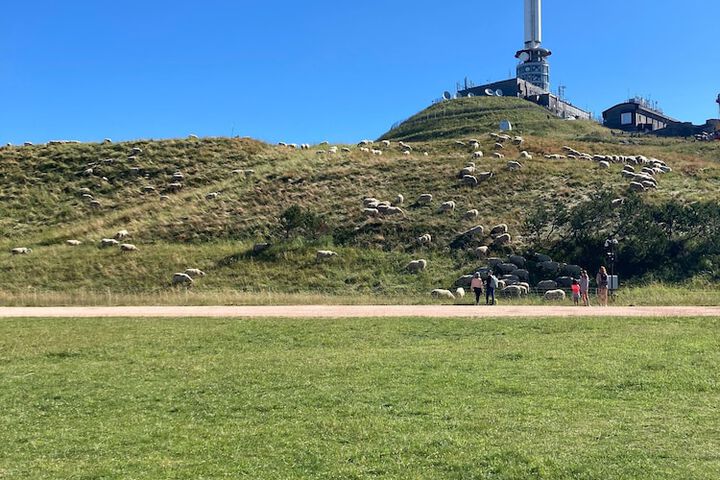 Hiking