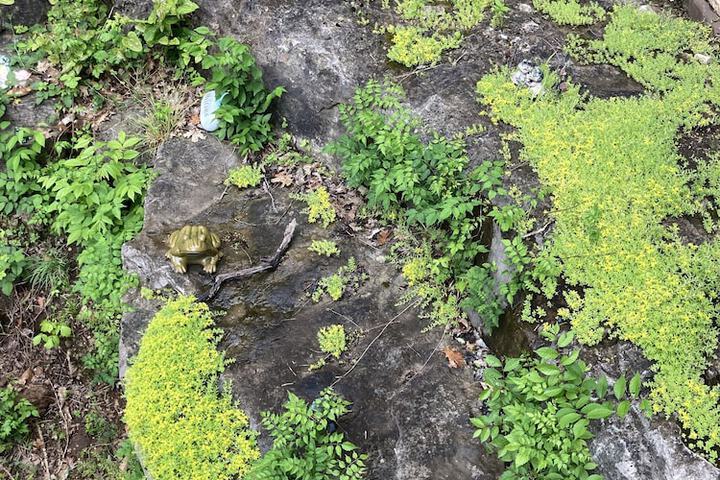 Hotel View 110 of 112